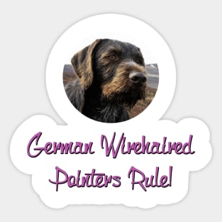 German Wirehaired Pointers Rule! Sticker